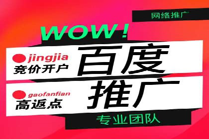 百度SEM推广策略：成功案例解析