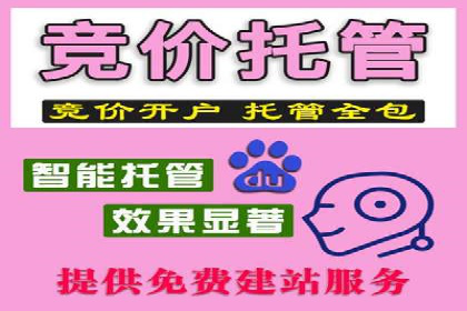 专业SEM托管公司案例分享：提升流量秘诀